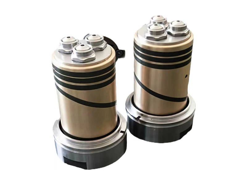 Real pictures of multi-headed mouths