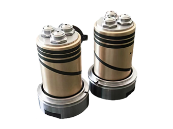 Real pictures of multi-headed mouths